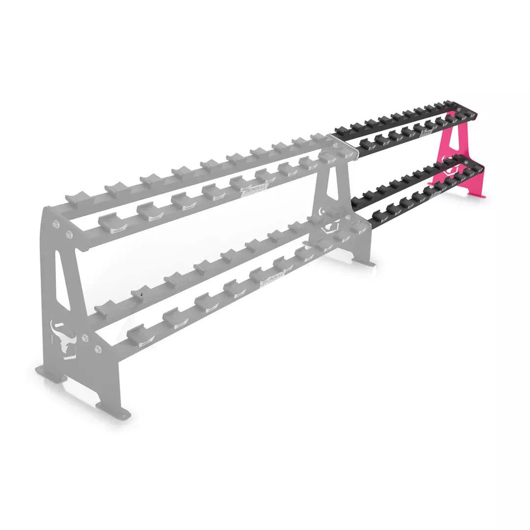 2-Tier Commercial Dumbbell Rack Extension