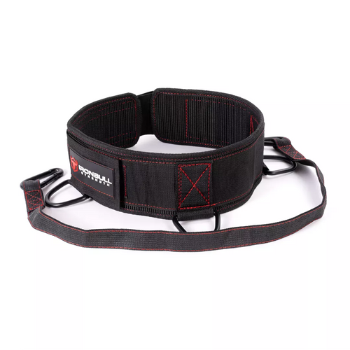 Advanced Dip Belt